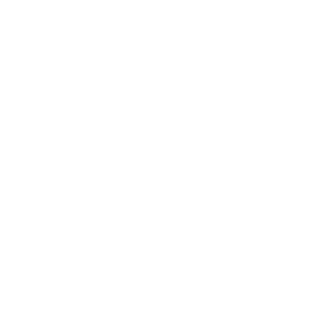 Blured flower image